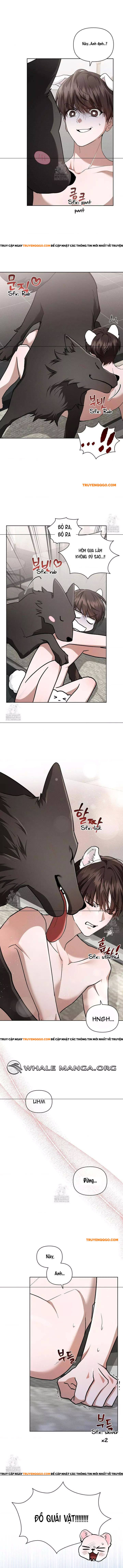 Đừng Đùa Với Cún Con: Chapter 45