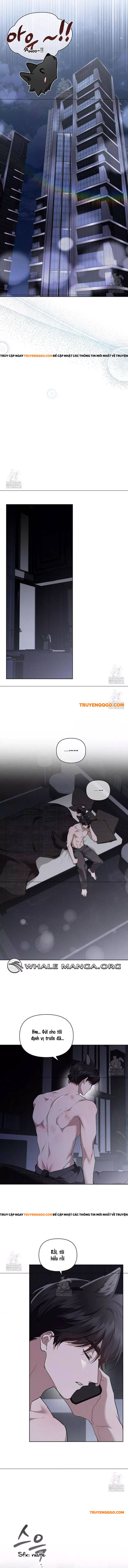 Đừng Đùa Với Cún Con: Chapter 45