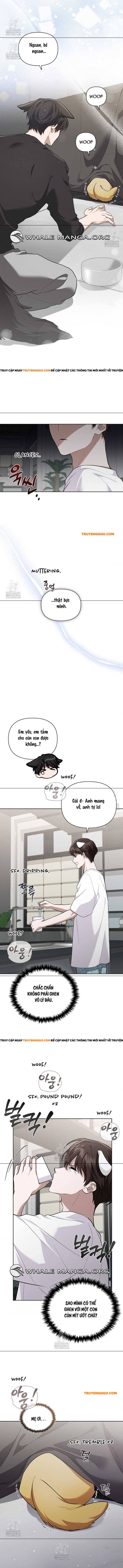 Đừng Đùa Với Cún Con: Chapter 46