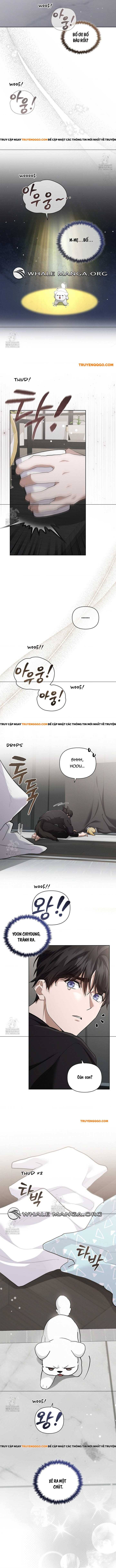 Đừng Đùa Với Cún Con: Chapter 46