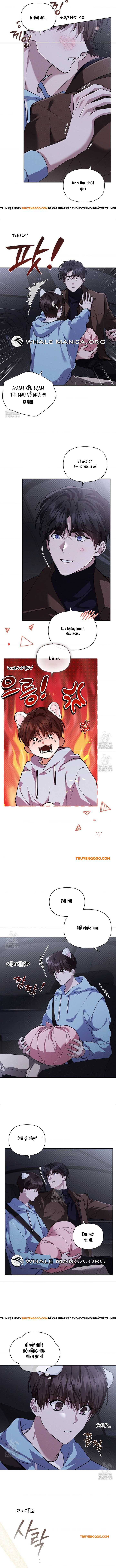 Đừng Đùa Với Cún Con: Chapter 46