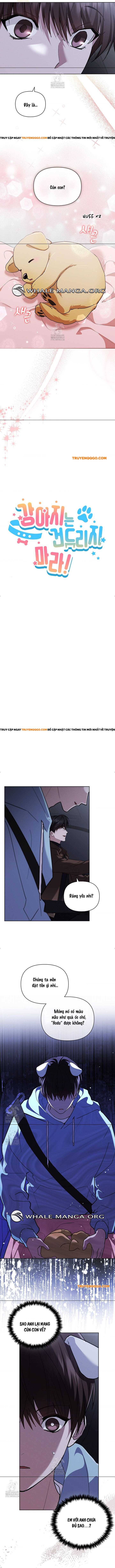 Đừng Đùa Với Cún Con: Chapter 46