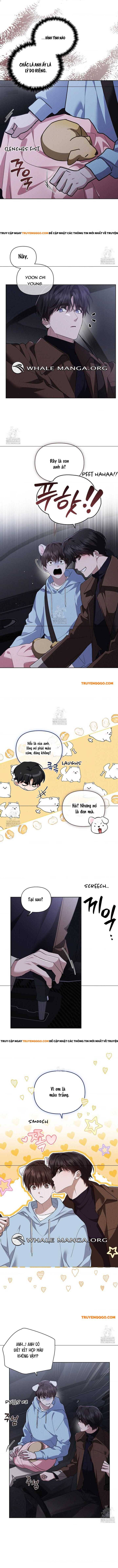 Đừng Đùa Với Cún Con: Chapter 46