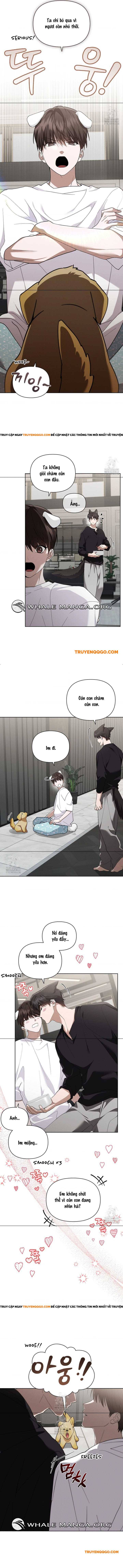 Đừng Đùa Với Cún Con: Chapter 46