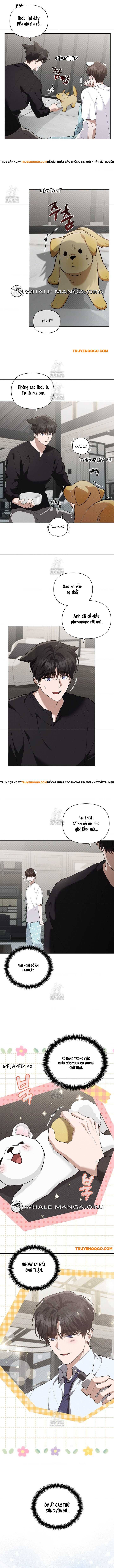 Đừng Đùa Với Cún Con: Chapter 46