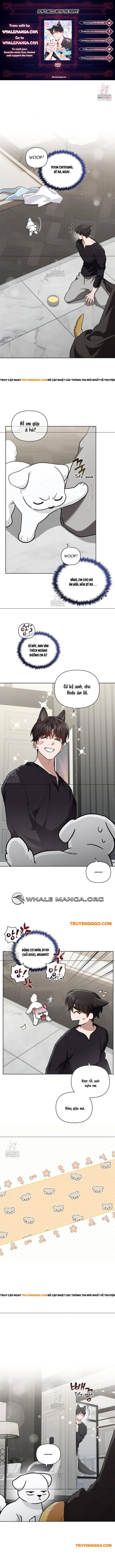 Đừng Đùa Với Cún Con: Chapter 47