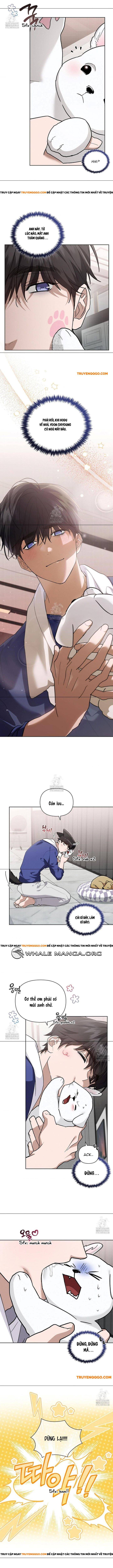 Đừng Đùa Với Cún Con: Chapter 47
