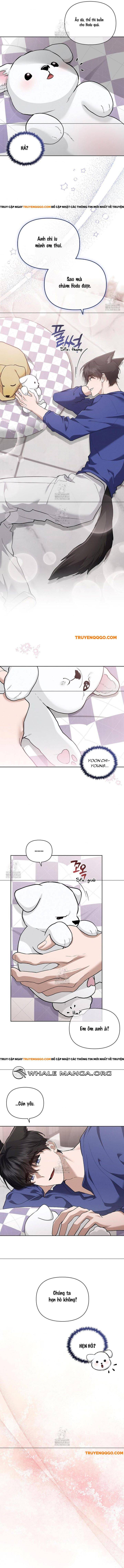 Đừng Đùa Với Cún Con: Chapter 47