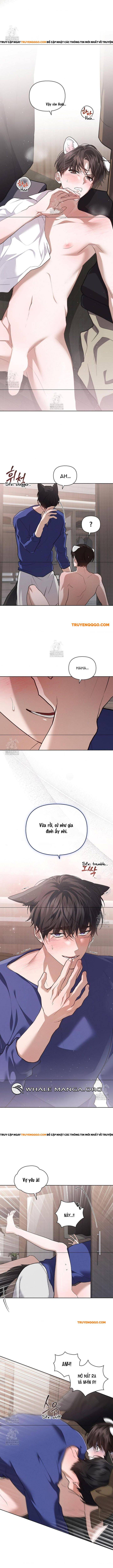 Đừng Đùa Với Cún Con: Chapter 47