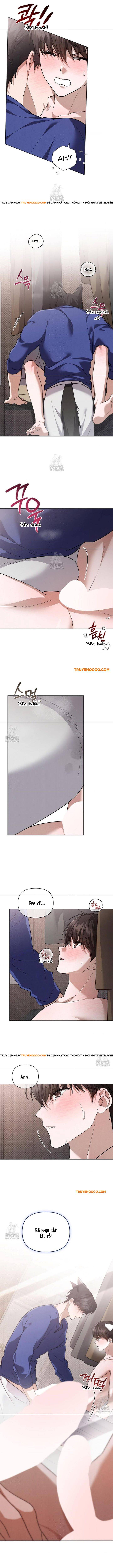 Đừng Đùa Với Cún Con: Chapter 47