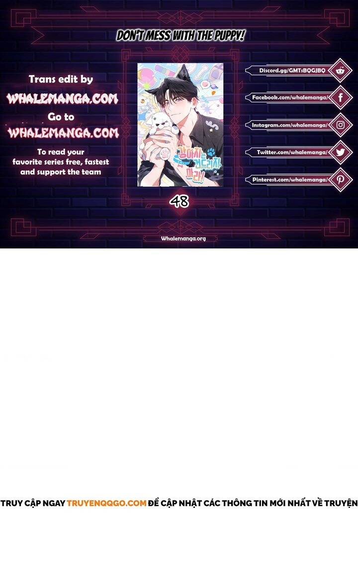 Đừng Đùa Với Cún Con: Chapter 48