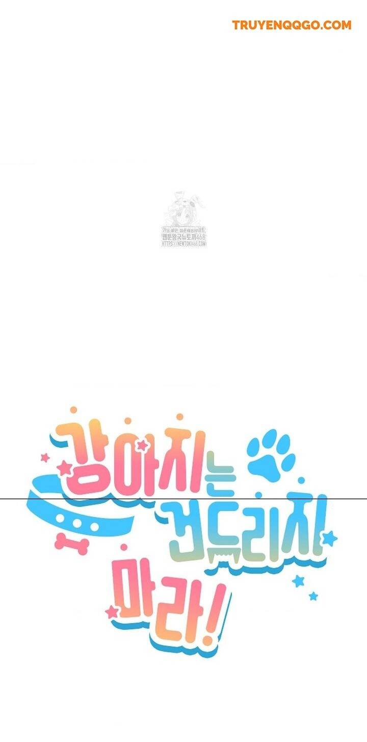 Đừng Đùa Với Cún Con: Chapter 48