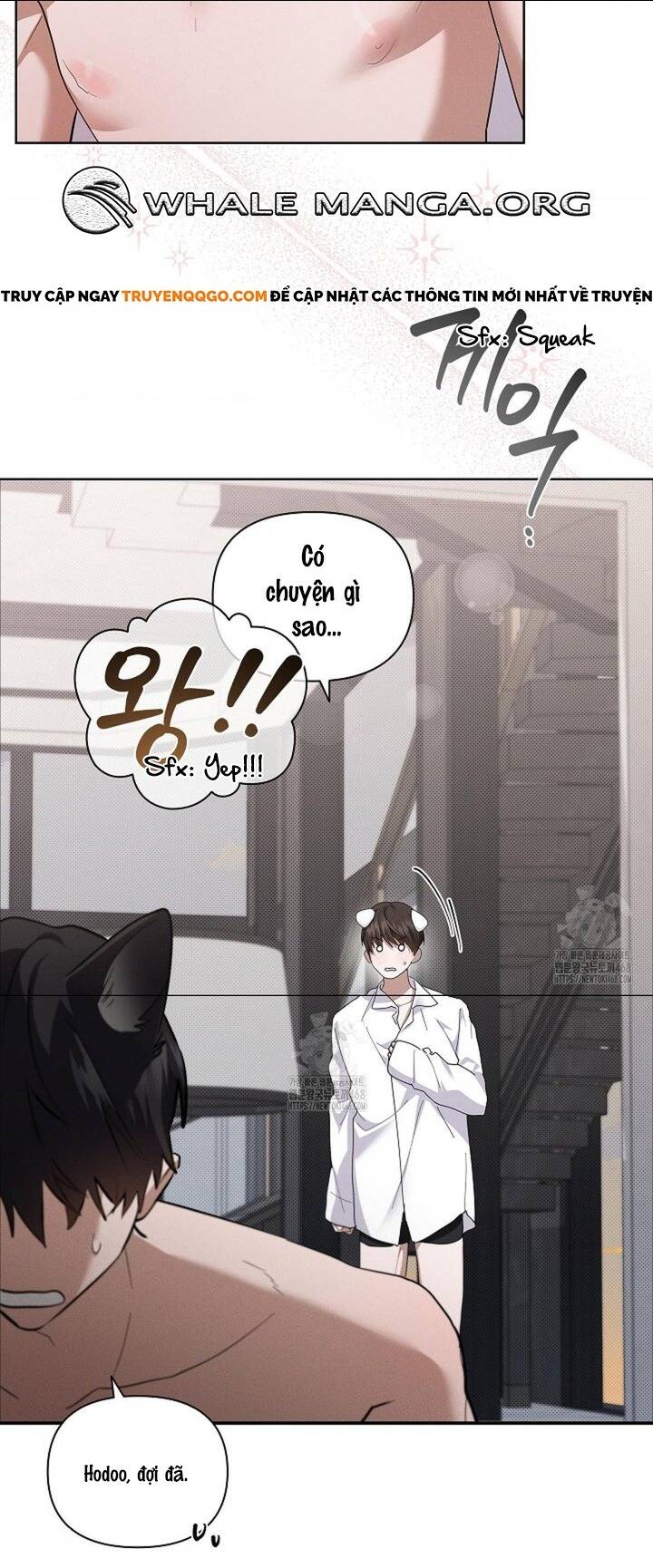 Đừng Đùa Với Cún Con: Chapter 48