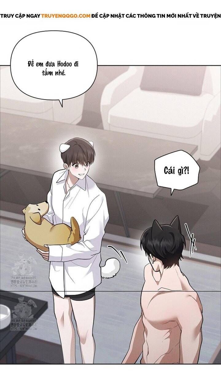 Đừng Đùa Với Cún Con: Chapter 48