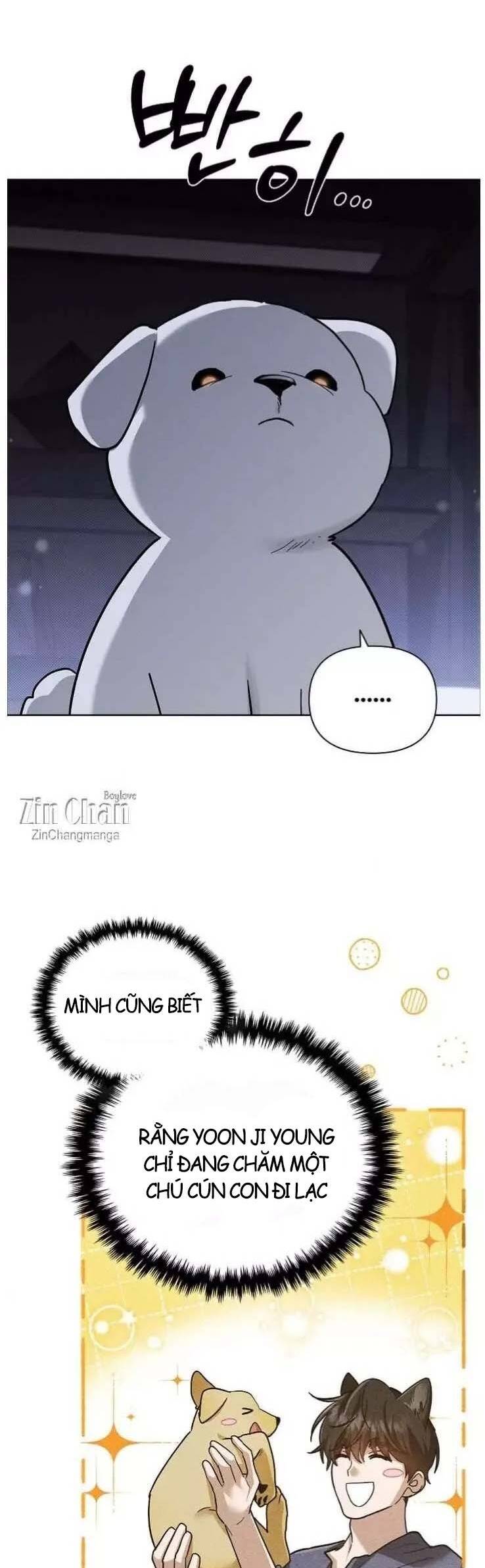 Đừng Đùa Với Cún Con: Chapter 49