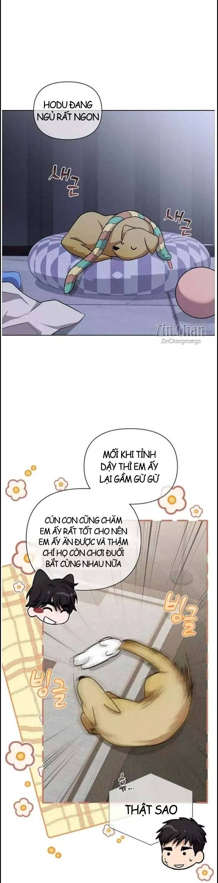 Đừng Đùa Với Cún Con: Chapter 49