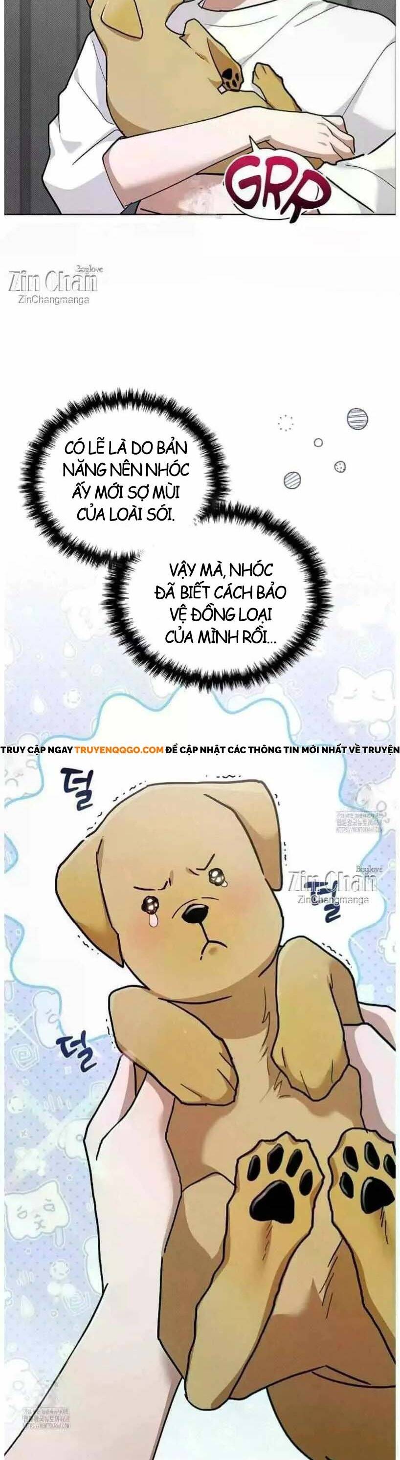 Đừng Đùa Với Cún Con: Chapter 50
