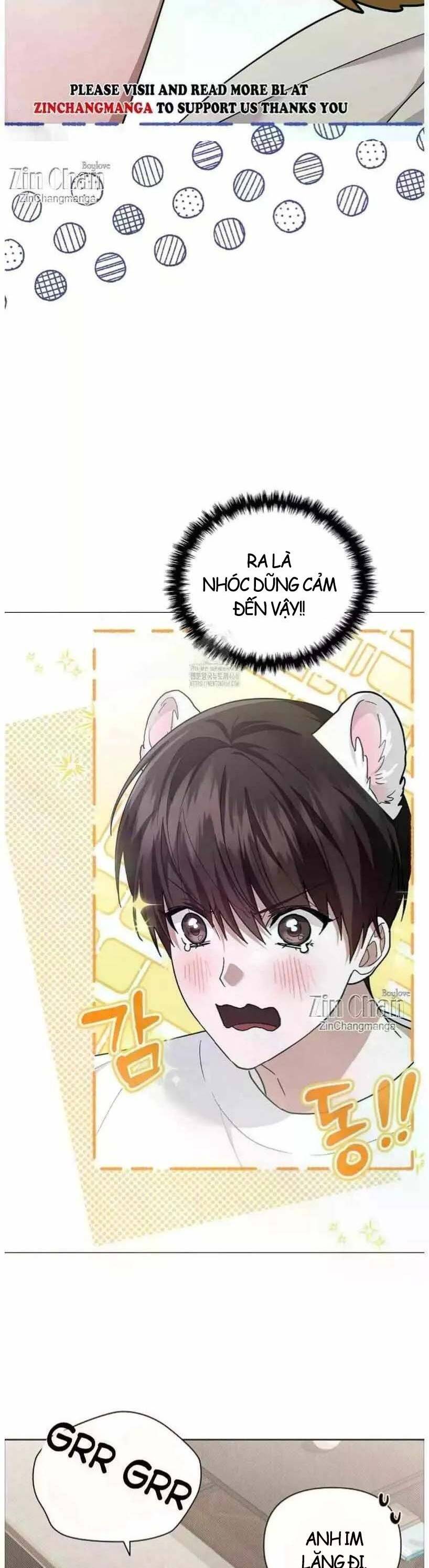 Đừng Đùa Với Cún Con: Chapter 50