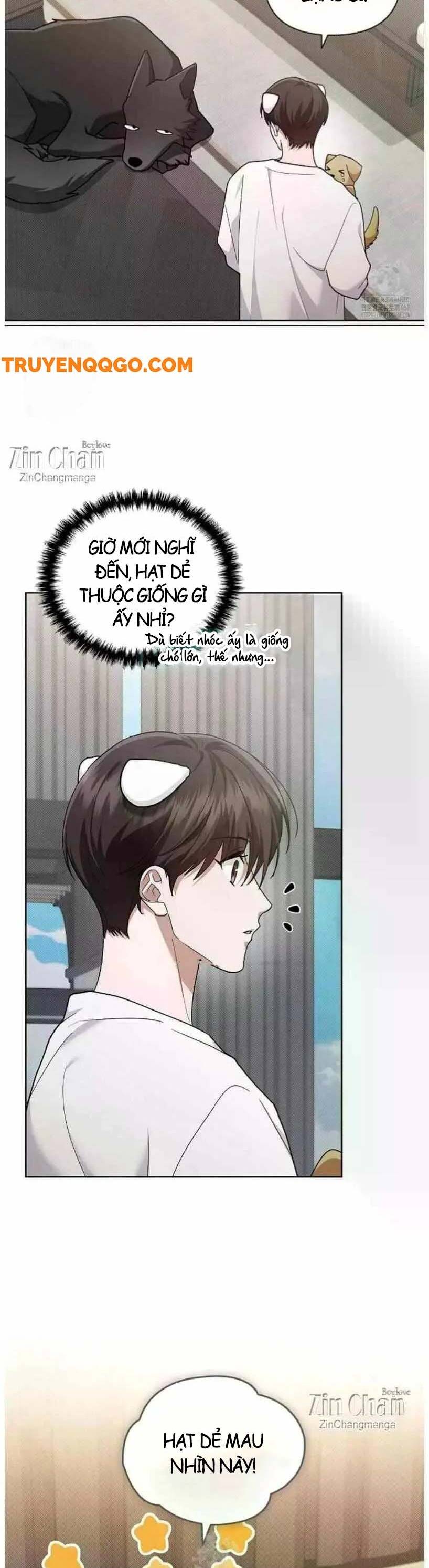 Đừng Đùa Với Cún Con: Chapter 50