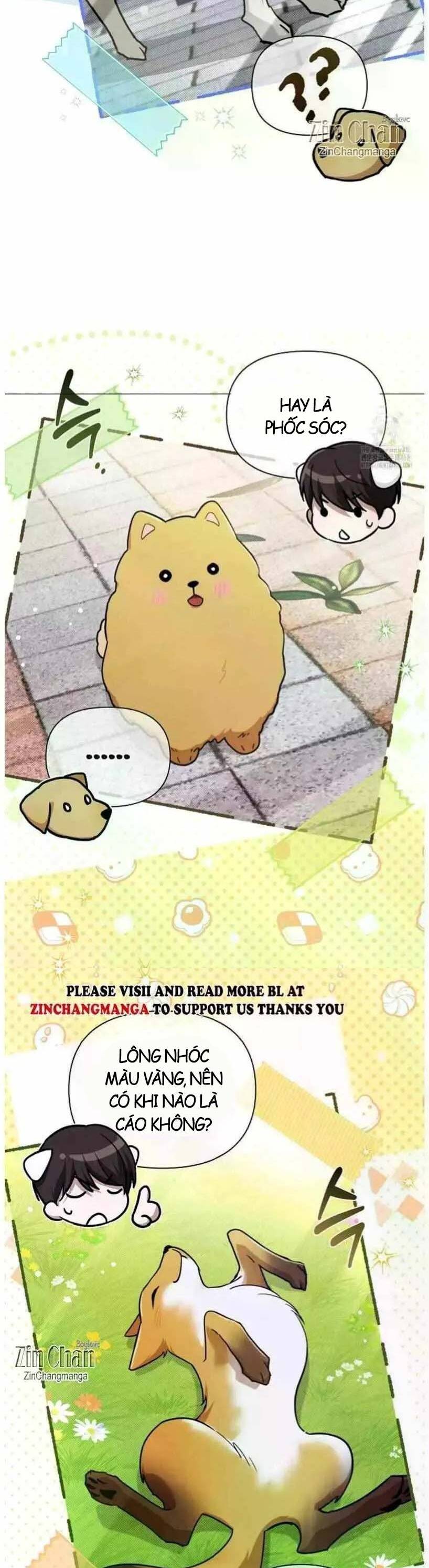 Đừng Đùa Với Cún Con: Chapter 50