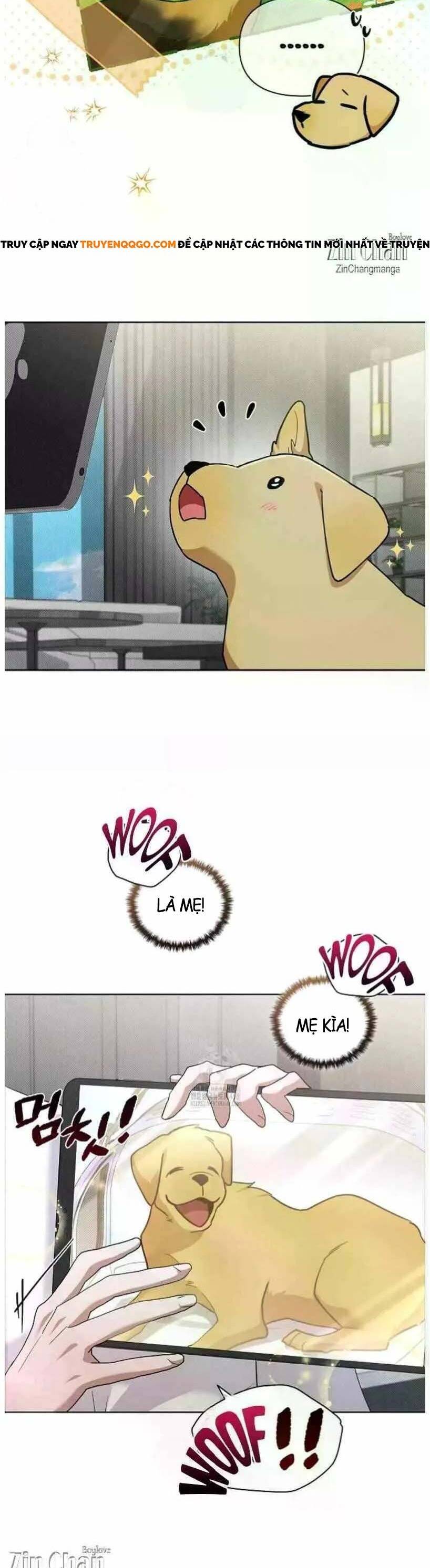 Đừng Đùa Với Cún Con: Chapter 50