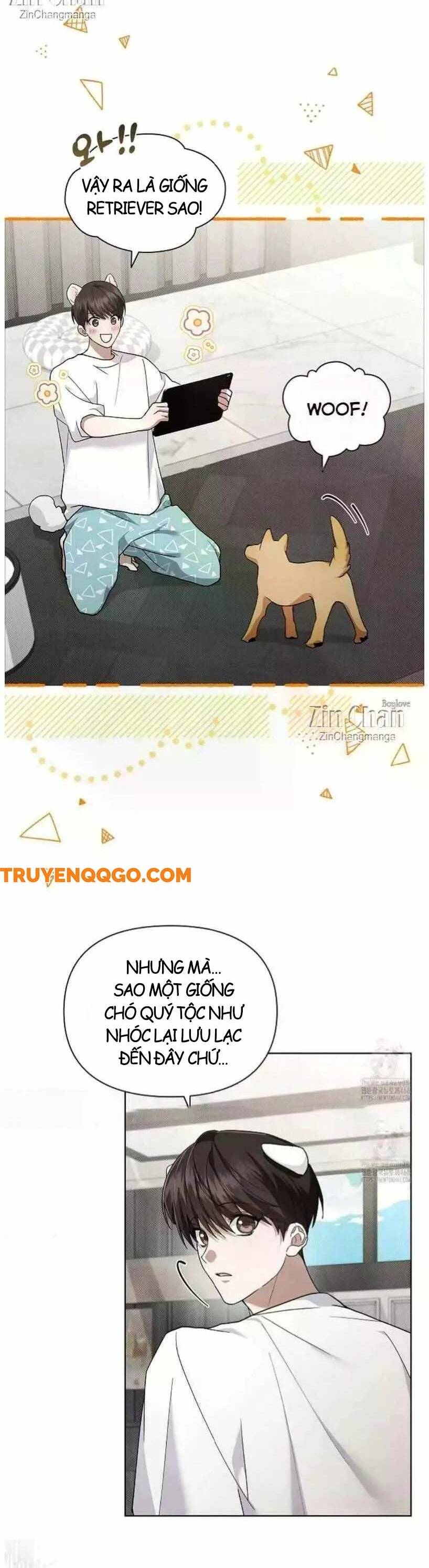 Đừng Đùa Với Cún Con: Chapter 50