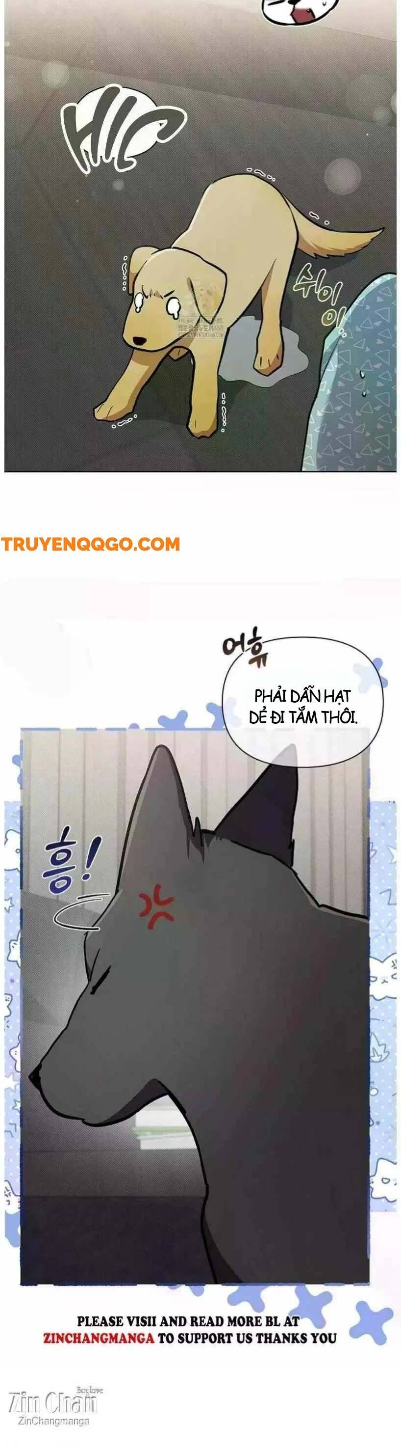 Đừng Đùa Với Cún Con: Chapter 50