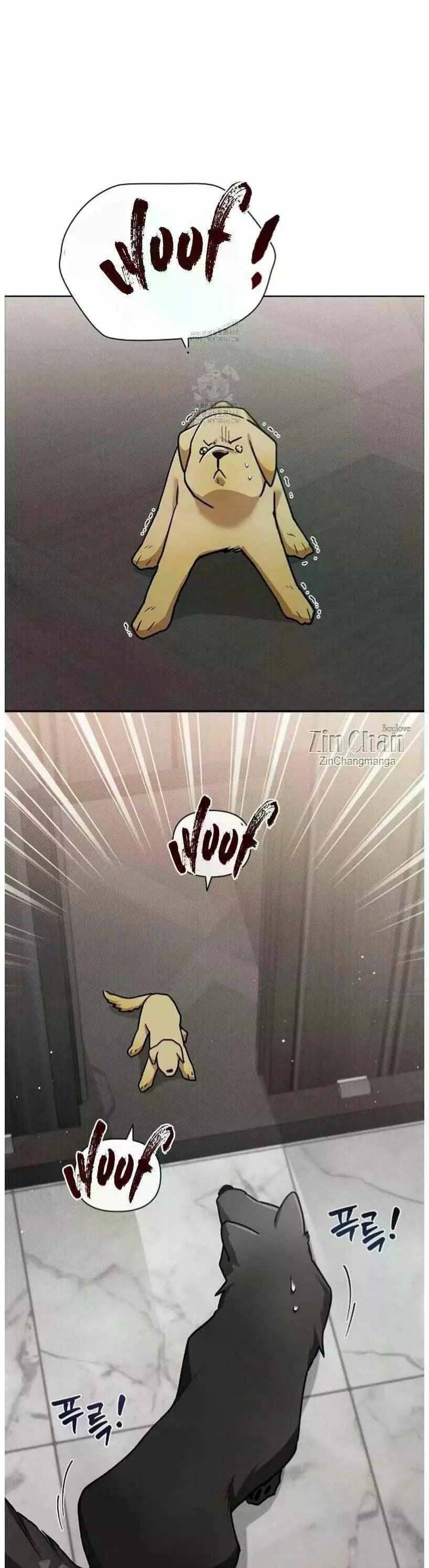 Đừng Đùa Với Cún Con: Chapter 50