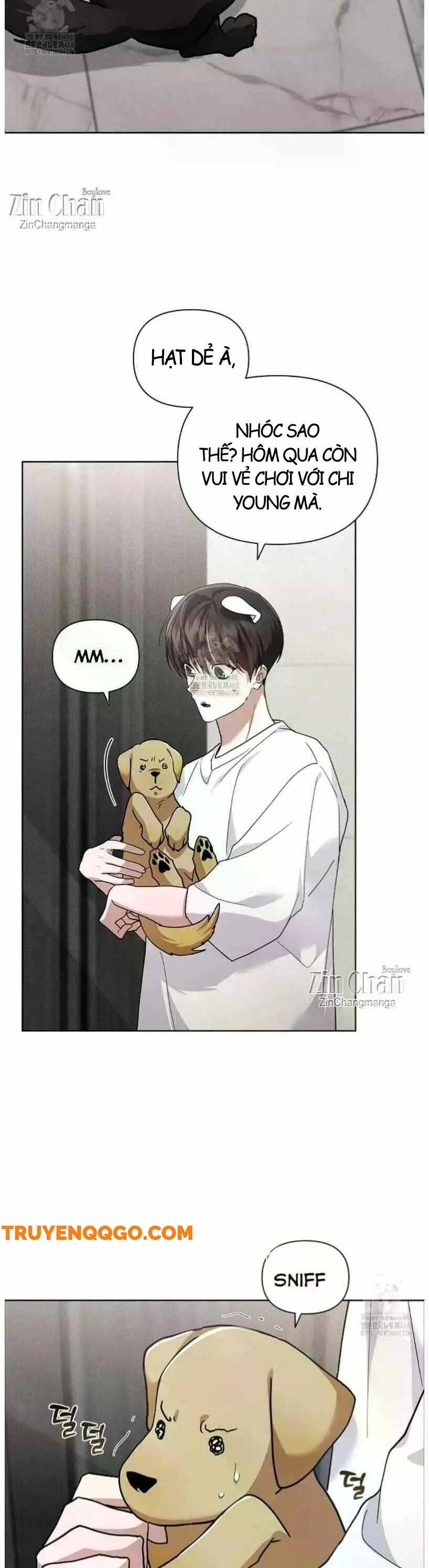 Đừng Đùa Với Cún Con: Chapter 50