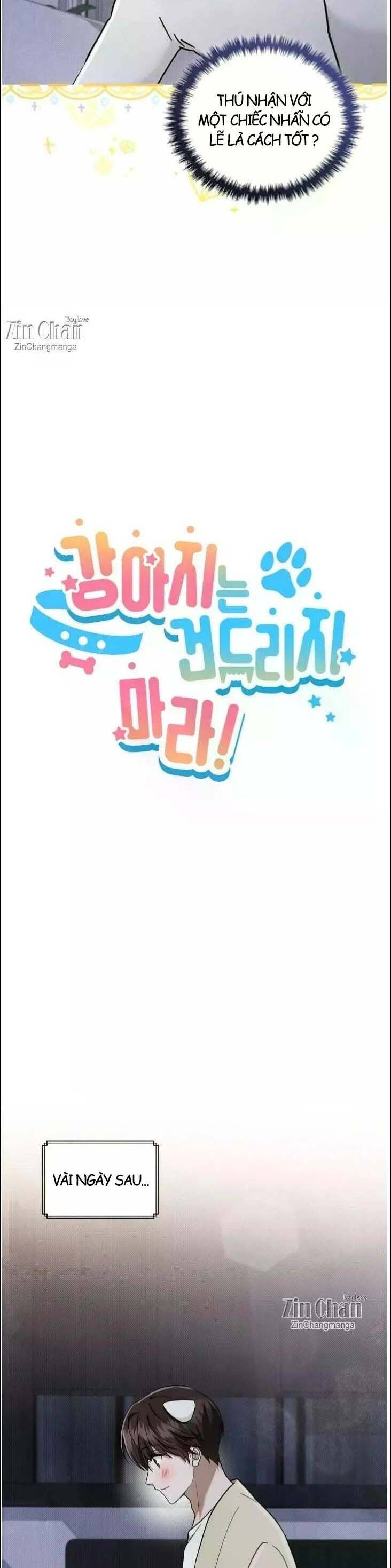 Đừng Đùa Với Cún Con: Chapter 51