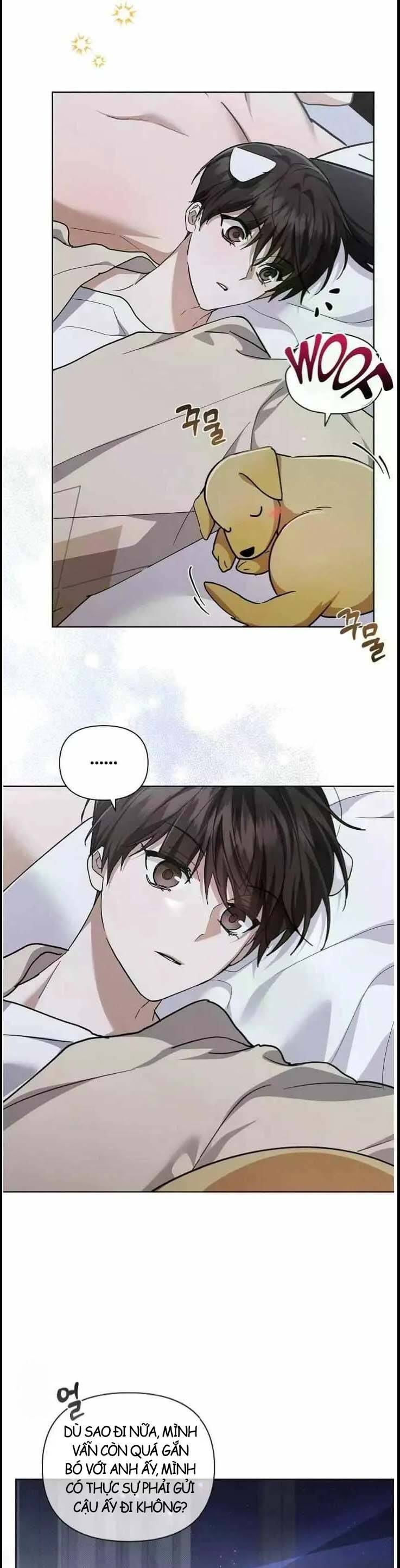 Đừng Đùa Với Cún Con: Chapter 51