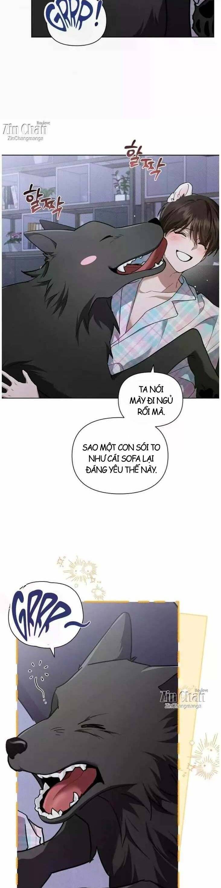Đừng Đùa Với Cún Con: Chapter 51