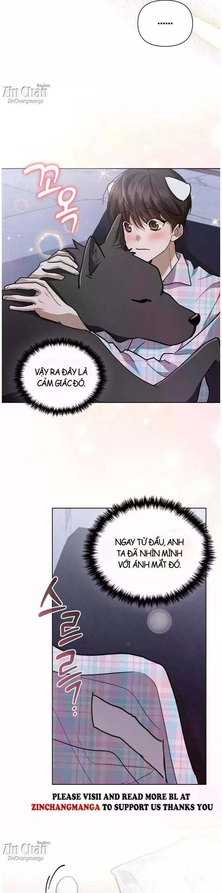 Đừng Đùa Với Cún Con: Chapter 51