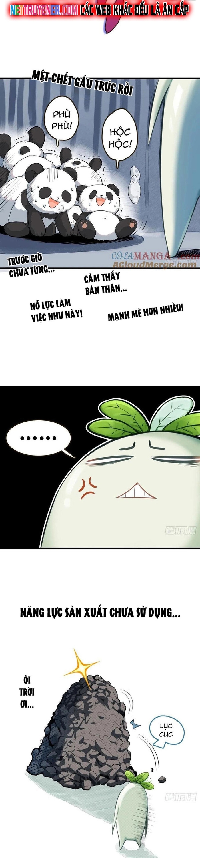Đừng xem thường một củ cải: Chapter 11
