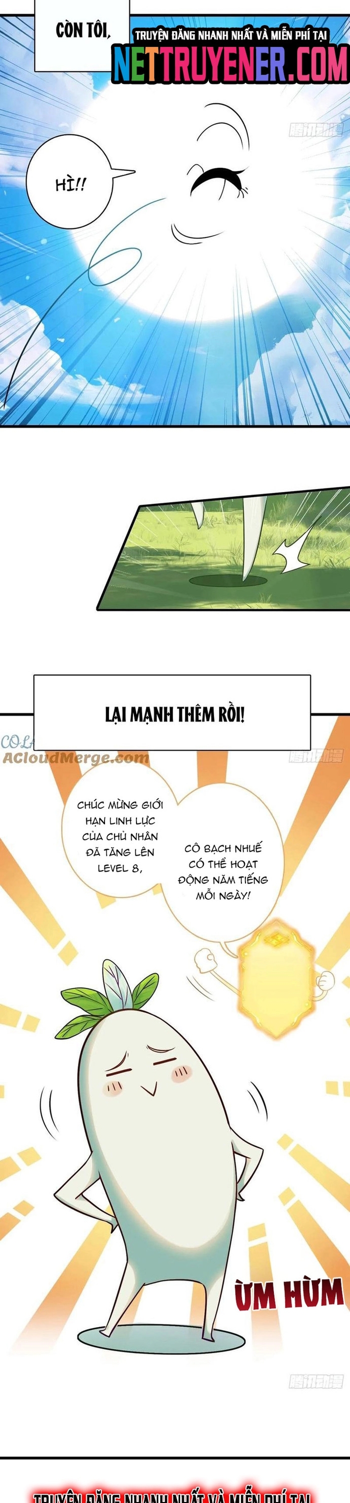 Đừng xem thường một củ cải: Chapter 16