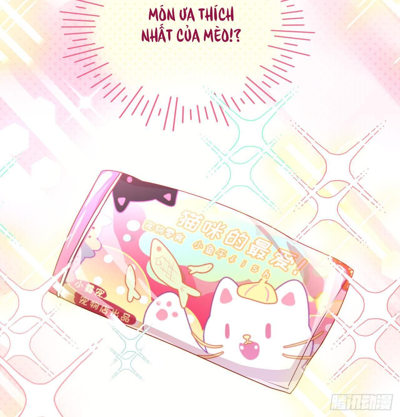 Đuôi Nè, Sờ Hông?: Chapter 7