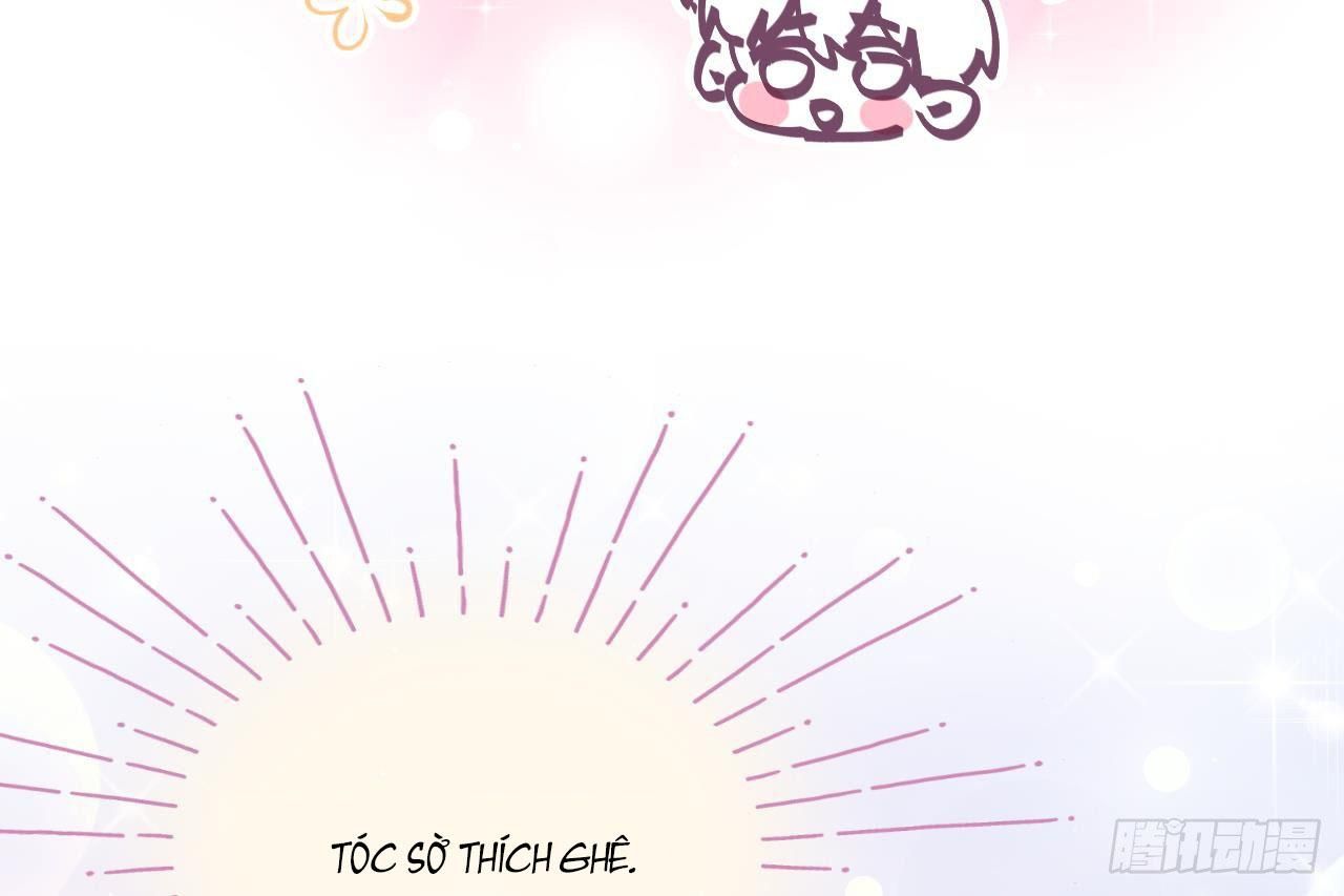 Đuôi Nè, Sờ Hông?: Chapter 7