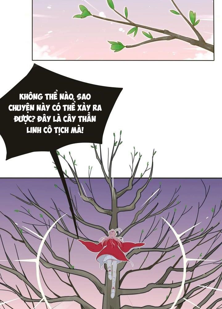 Dương Gian Bách Lý Cẩm: Chapter 2