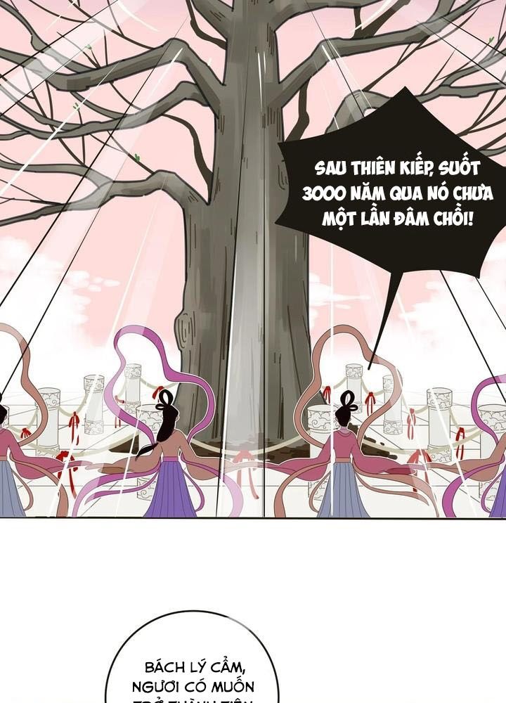 Dương Gian Bách Lý Cẩm: Chapter 2