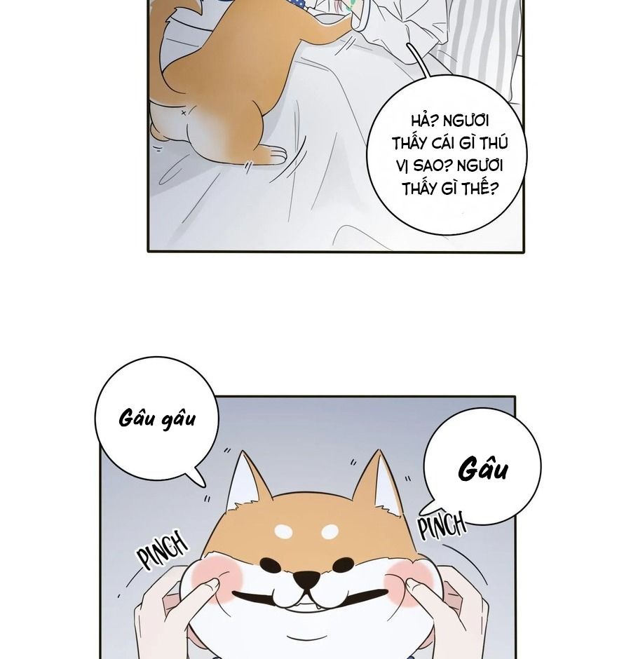 Dương Gian Bách Lý Cẩm: Chapter 7