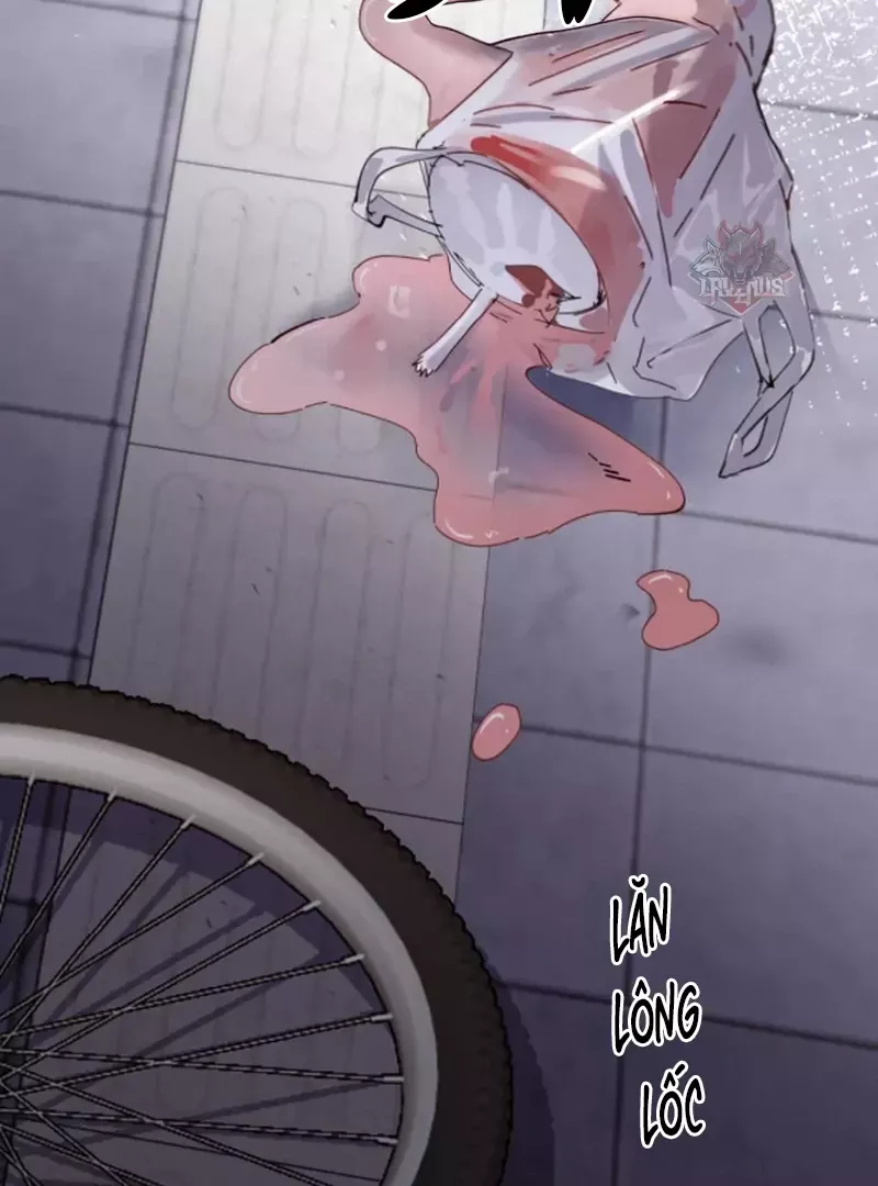 Em Gái Bệnh Hoạn Chỉ Muốn Tôi Lúc Nào Cũng Bắt Nạt Cô Ấy: Chapter 81