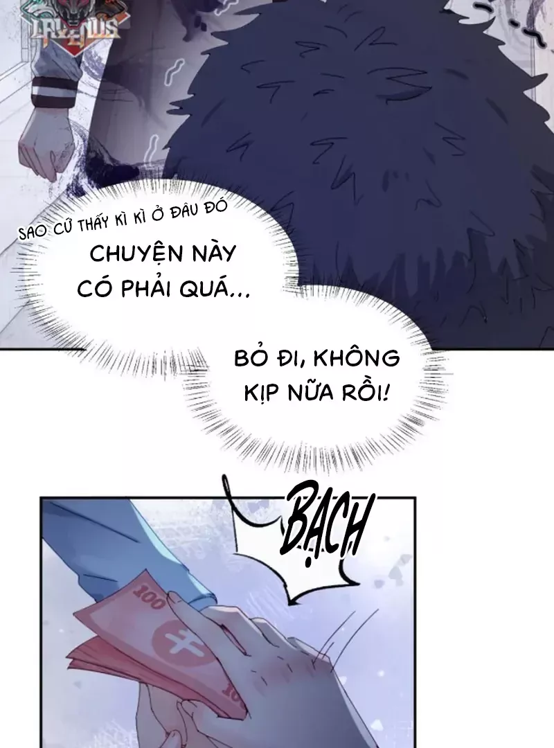Em Gái Bệnh Hoạn Chỉ Muốn Tôi Lúc Nào Cũng Bắt Nạt Cô Ấy: Chapter 81