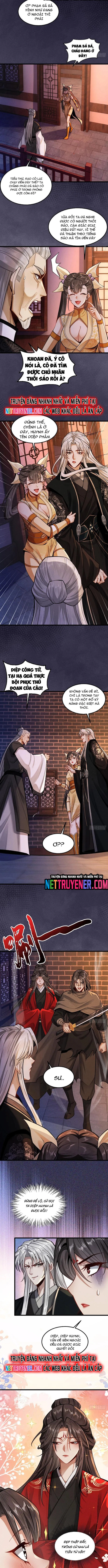 Gặp Mạnh Thì Càng Mạnh, Tu Vi Của Ta Không Giới Hạn: Chapter 43