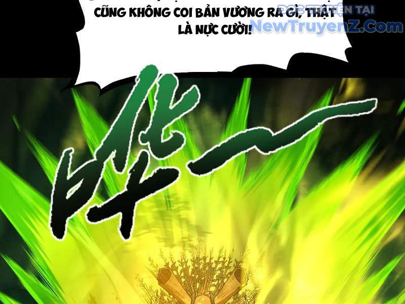 Gặp Mạnh Thì Càng Mạnh, Tu Vi Của Ta Không Giới Hạn: Chapter 47