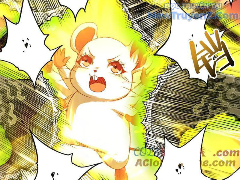 Gặp Mạnh Thì Càng Mạnh, Tu Vi Của Ta Không Giới Hạn: Chapter 47