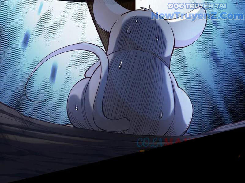 Gặp Mạnh Thì Càng Mạnh, Tu Vi Của Ta Không Giới Hạn: Chapter 47