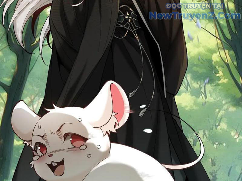 Gặp Mạnh Thì Càng Mạnh, Tu Vi Của Ta Không Giới Hạn: Chapter 47