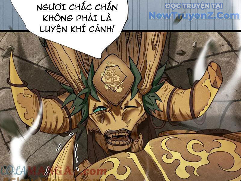 Gặp Mạnh Thì Càng Mạnh, Tu Vi Của Ta Không Giới Hạn: Chapter 47