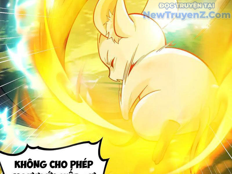 Gặp Mạnh Thì Càng Mạnh, Tu Vi Của Ta Không Giới Hạn: Chapter 47