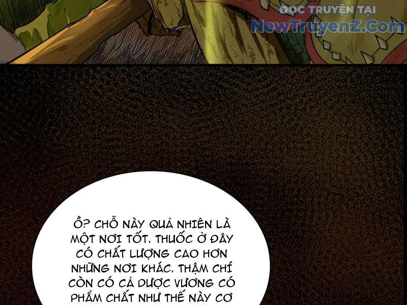 Gặp Mạnh Thì Càng Mạnh, Tu Vi Của Ta Không Giới Hạn: Chapter 47